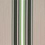 Green Multi Stripe