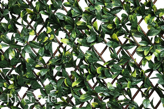Artificial Hedging, Laurel Leaf Trellis, 100cm x 200cm - Awnings Direct